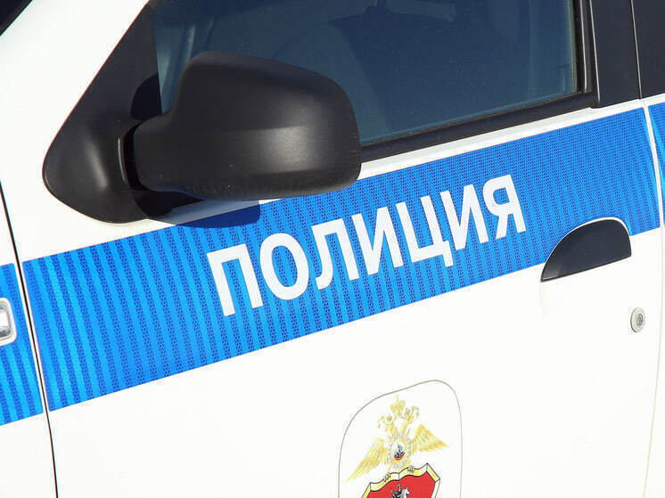 Автомеханик из Саранска может сесть в тюрьму из-за оружия