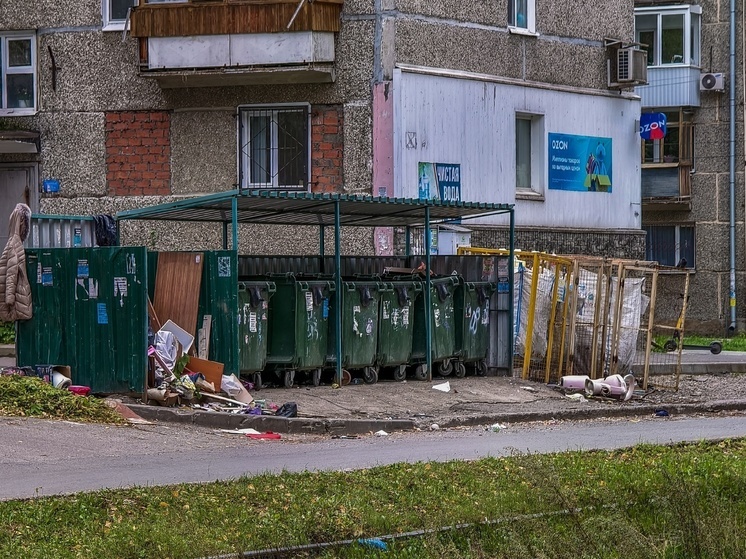 В поселке Лушниково Томской области не хватало 10 контейнерных площадок для мусора