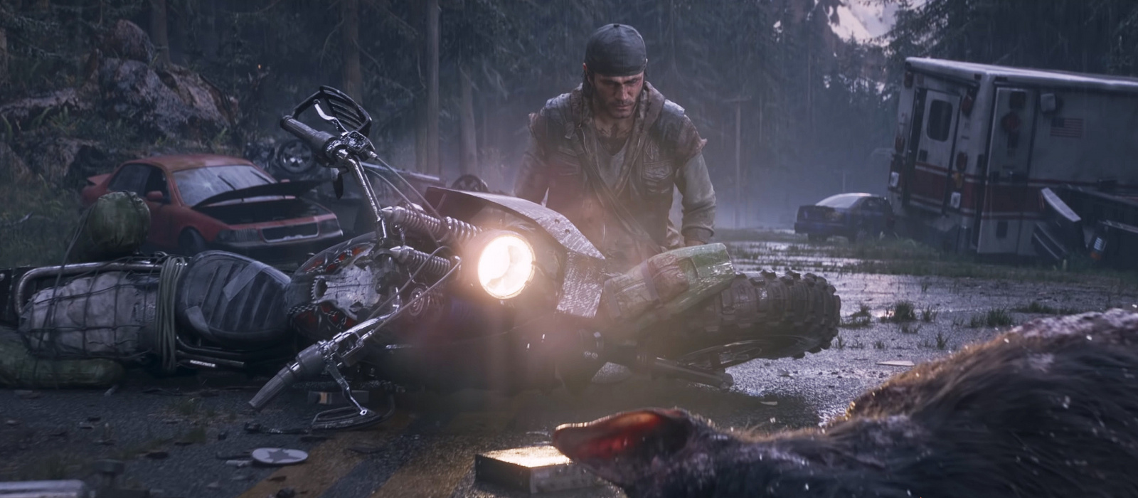 Days gone steam id фото 42