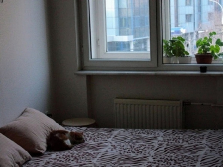 Британские ученые в новом исследовании раскрыли тайну засыпания