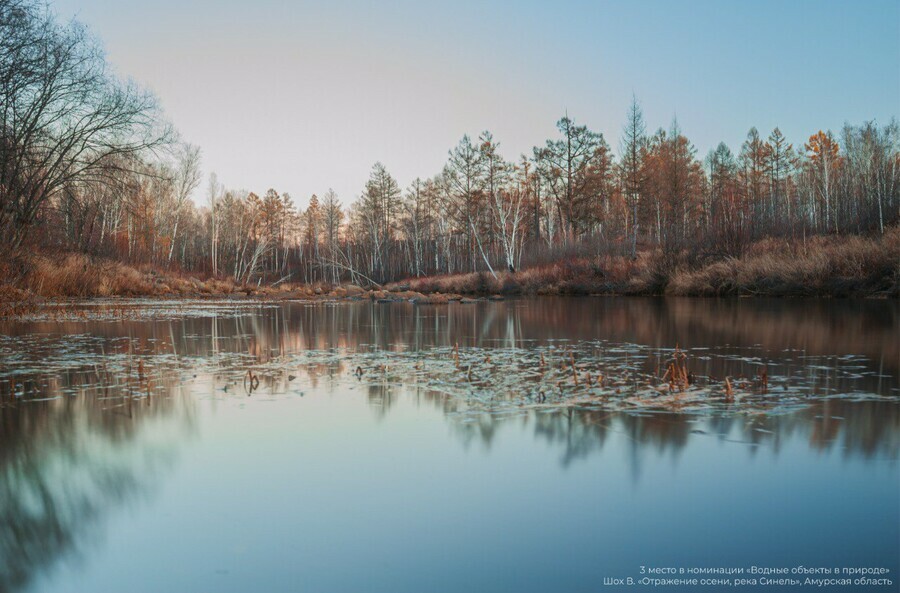 Амурчанин попал в тройку лучших фотографов России запечатлев реку Синель