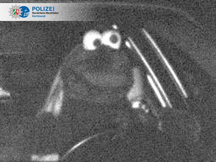 Германия — 60 евро за улыбку клоуна