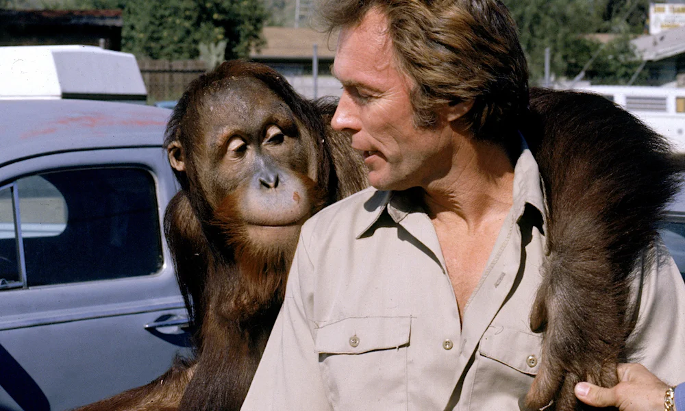 «Как ни крути – проиграешь» (1978)