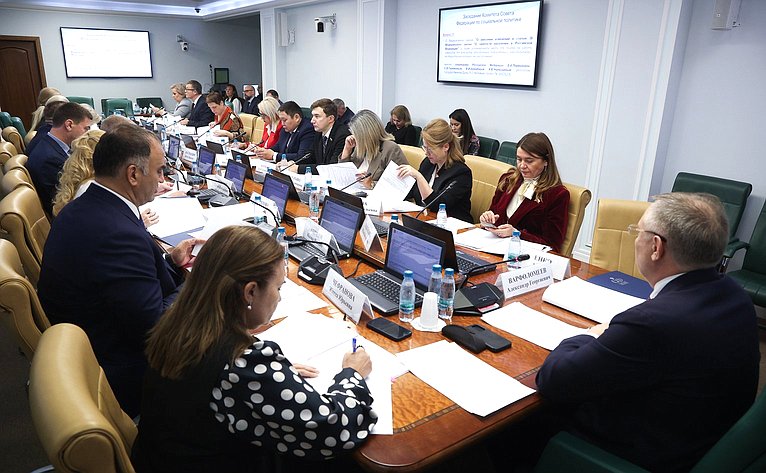 Заседание Комитета Совета Федерации по социальной политике
