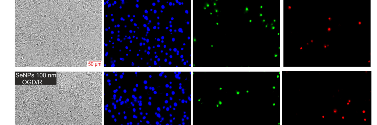 International journal of molecular sciences