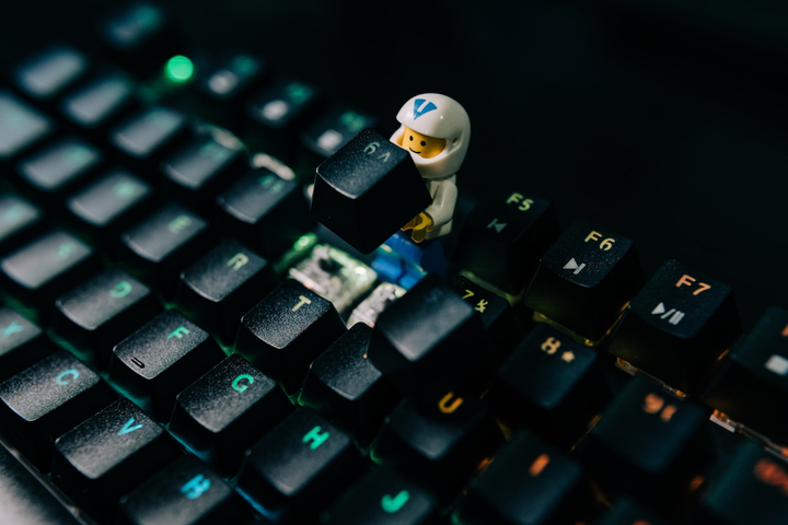 Что такое digital skills и какие из них нужно освоить сейчас