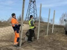 Площадки для переработки древесных отходов обустраивают в Горно-Алтайске