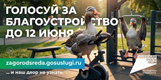 Всероссийское онлайн-голосование за объекты благоустройства 