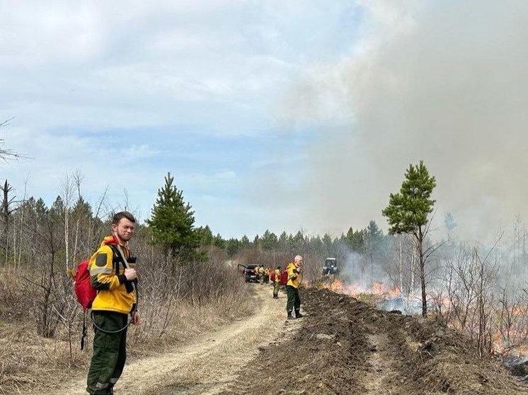 11 лесных пожаров ликвидировали за прошедшие сутки в Приангарье