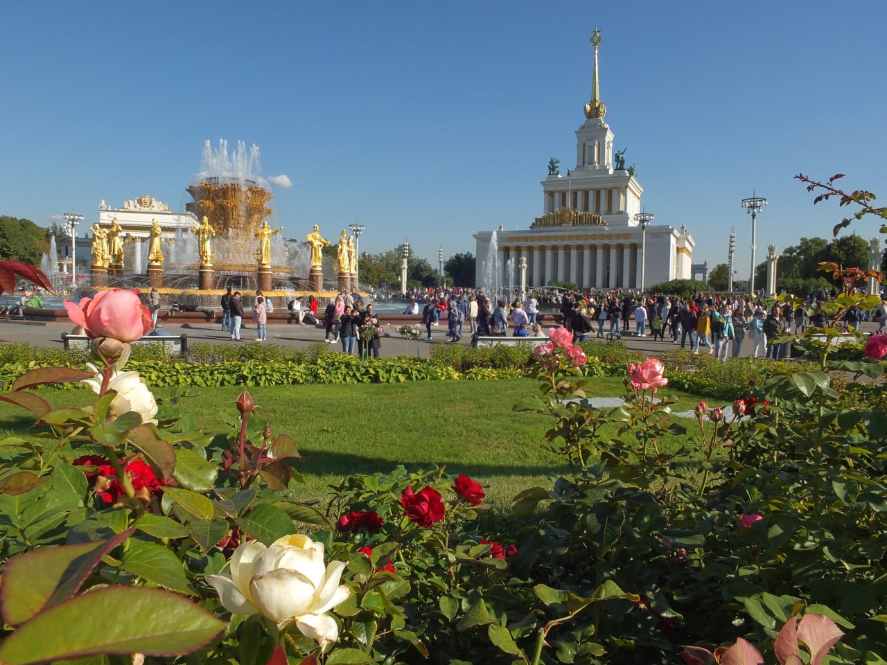 Москва выставка вднх в ноябре