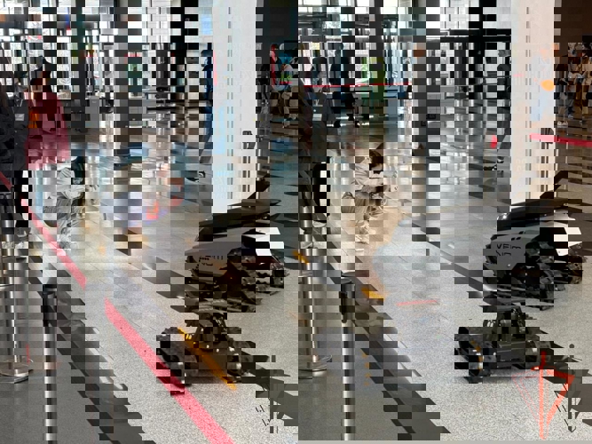 Платформой профессиональной навигации для десятков молодых новосибирцев стал форум Росгвардии в Новосибирске