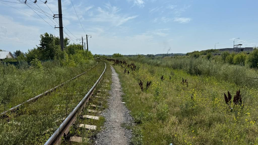 Фото: со страницы Александра Деринга ВКонтакте фото