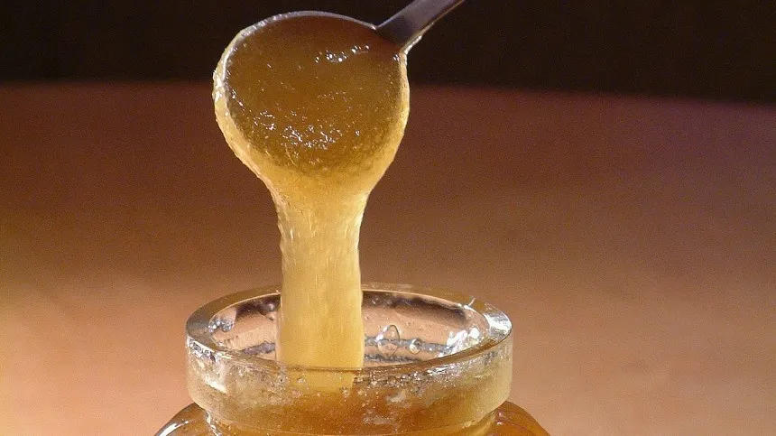 Врач-иммунолог рассказала, можно ли есть мед при температуре