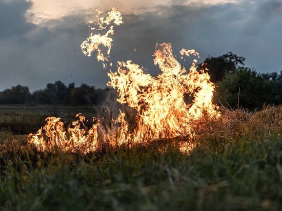 Возгорание сухой травы почти 8 часов тушили в Каргасокском районе Томской области