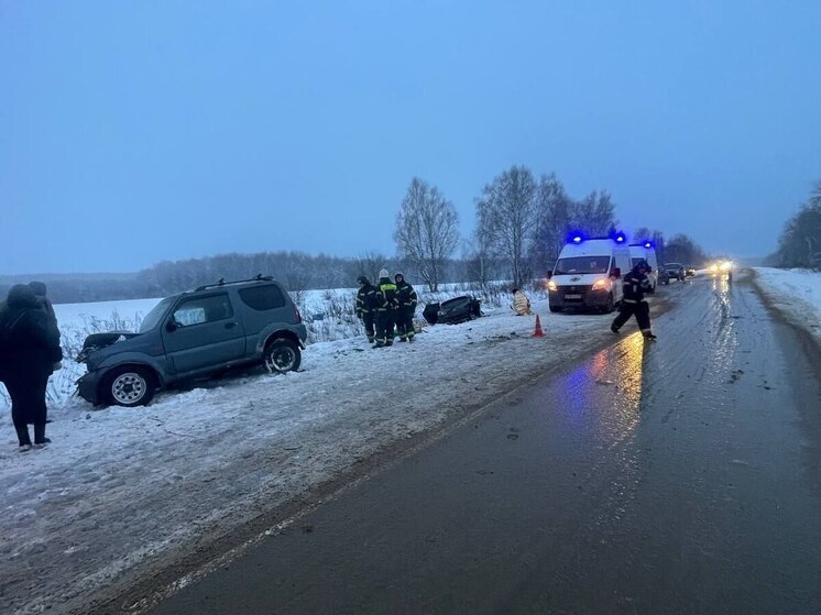 Двое детей погибли на трассе в Ферзиковском районе