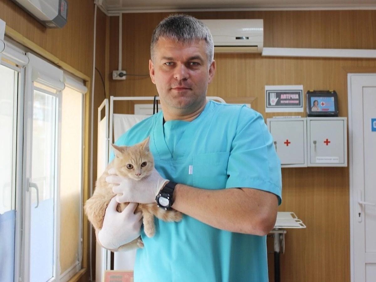 В Таганроге проведут льготную стерилизацию животных 25 января