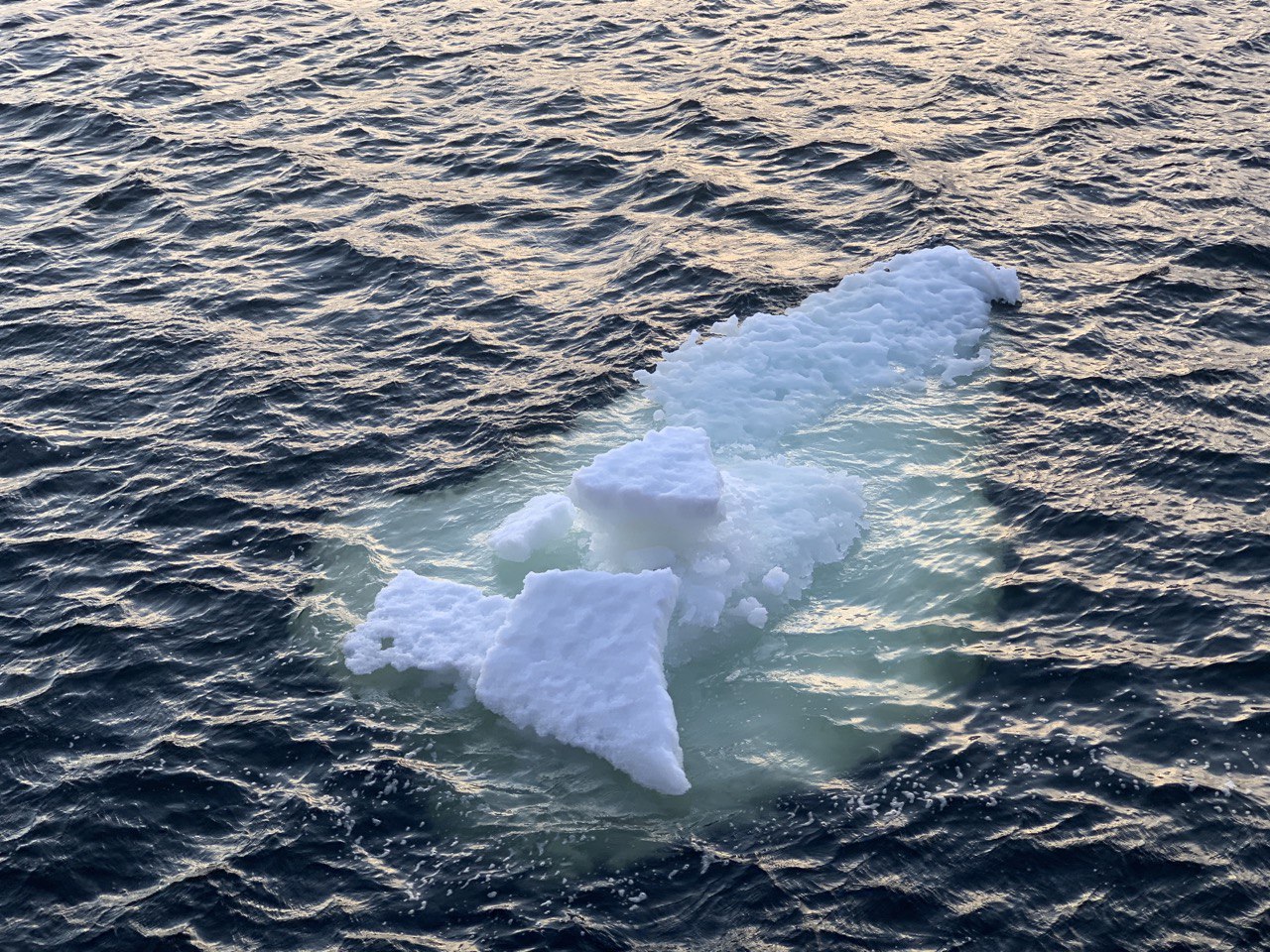 в карском море