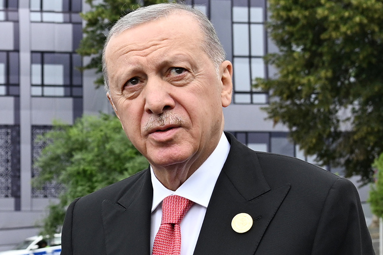 «Эрдоган отменил бюрократические барьеры для этнических «братьев»