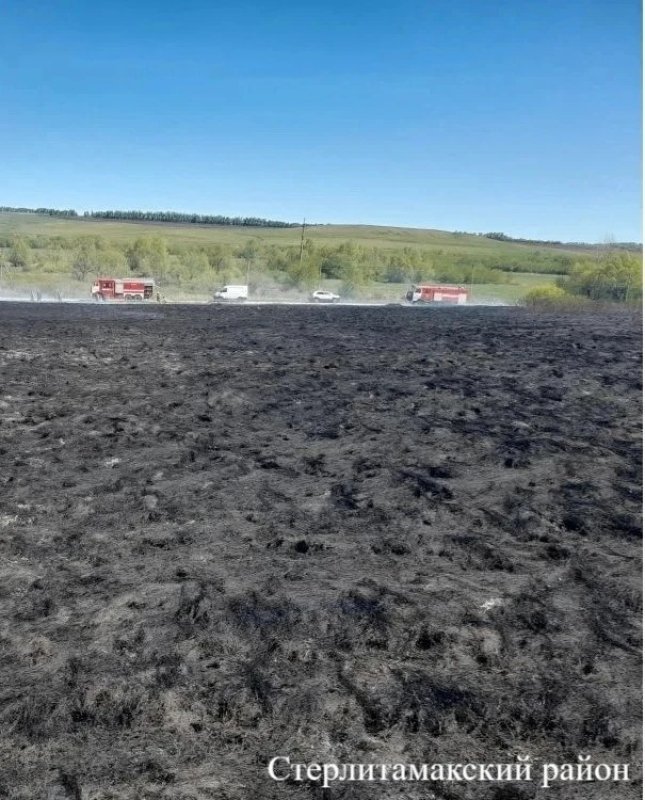 В трех районах Башкирии загорелась сухая трава