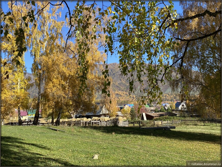 «Осенние краски Уймонской долины». Прощальный день: на гору Маяк с закрытыми глазами, посиделки на берегу Катуни и у костра в ночи 