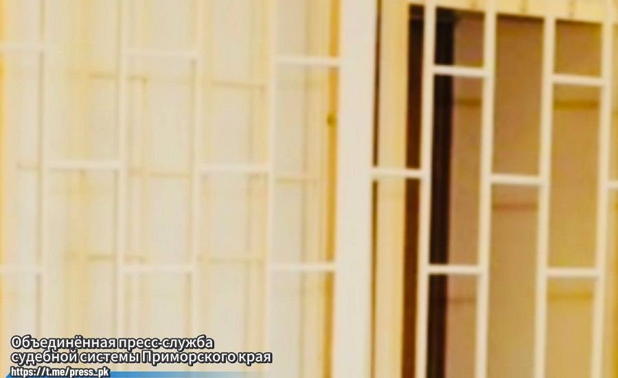 Фото: скриншот | Приморский полицейский с подельниками осуждён за многолетнее вымогательство