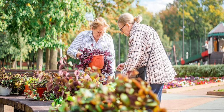 Украшавшие Москву летом растения передали в библиотеки и детские сады