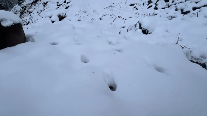 Снегопад оставил студентов дома: в Армении вузы отменили занятия