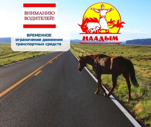 Автовладельцев Тувы предупреждают о временных ограничениях движения во время Наадыма