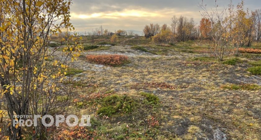 В Республике Коми 19 октября ожидается холодная погода со снегом 