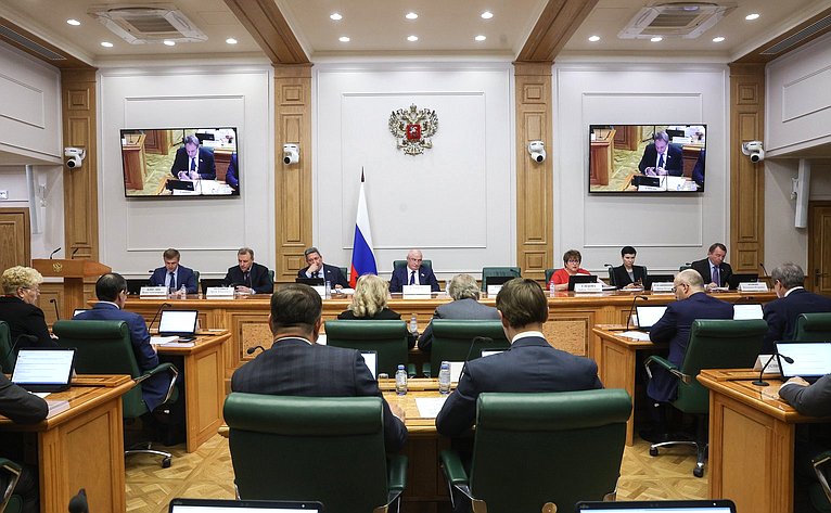Заседание Комитета Совета Федерации по конституционному законодательству и государственному строительству