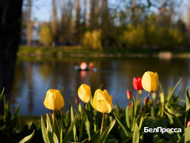 Как отдохнуть белгородцам 8–11 мая - Изображение 1
