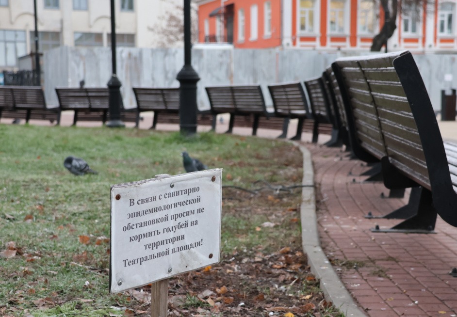 Во Владимире городские службы убирают топиарные фигуры с клумб и меняют уличные фонари