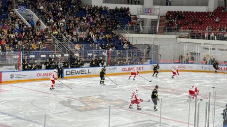 «Дизель» завершил победой серию домашних игр