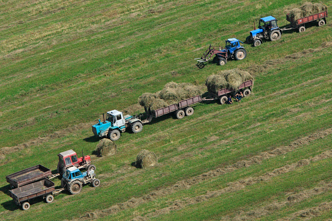 сельское хозяйство трактор сено поля