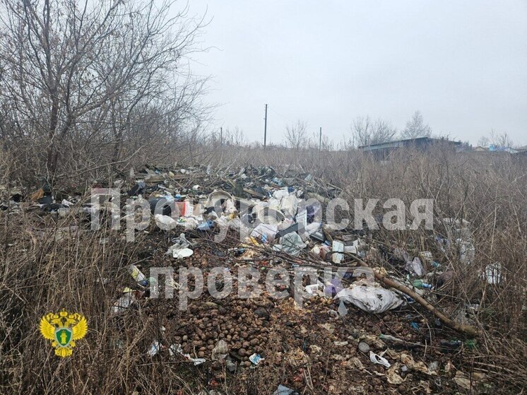 Прокуратура Куркинского района потребовала убрать незаконную свалку