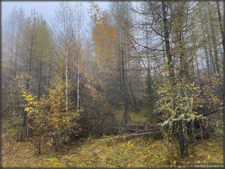 «Осенние краски Уймонской долины». Дорога, база и первые эмоции