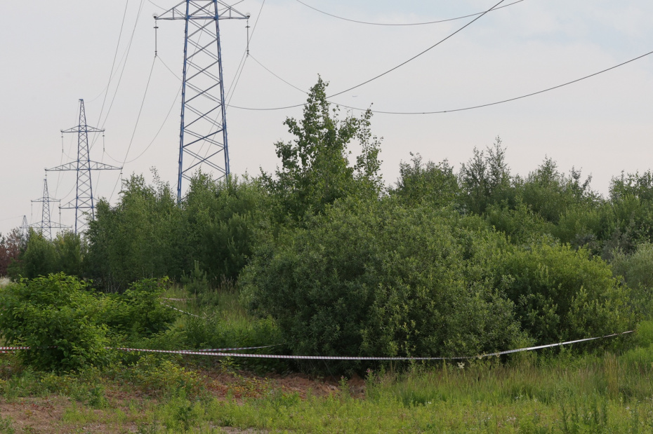 Место обнаружение тела Романа Старовойта