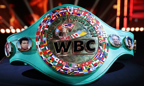 Лучший казахстанский боксер стал главным претендентом на бой за титул чемпиона мира
