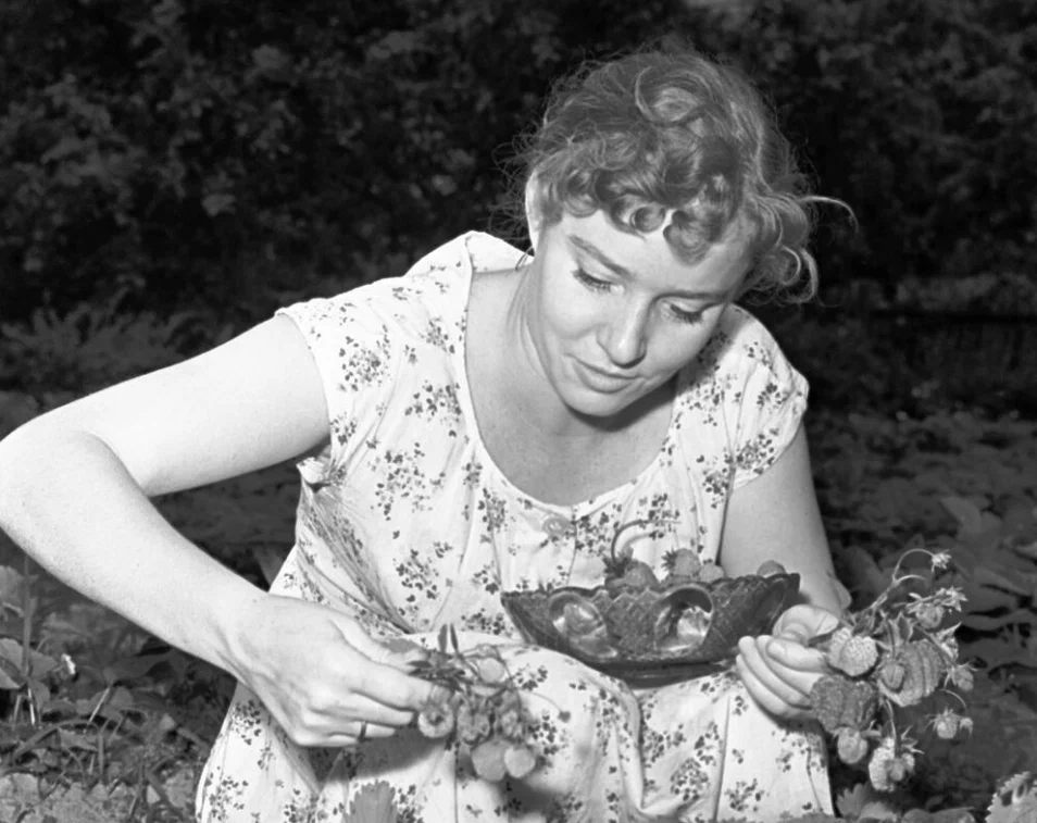  Руфина Нифонтова собирает клубнику, 1958 год