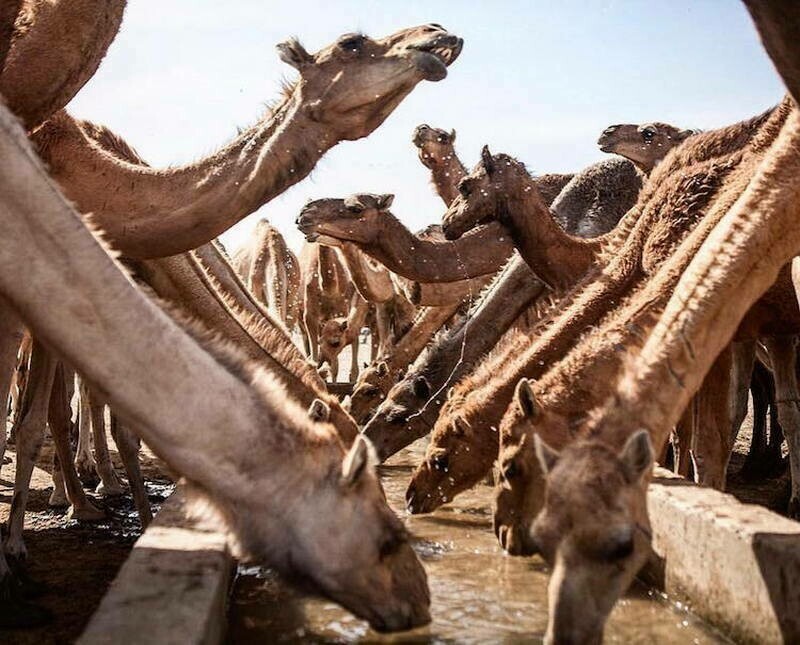 12 фото о том, что Африка совсем не такая, как ее представляют