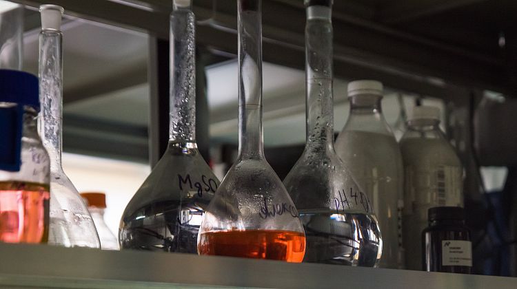 Сегодня КубГУ отмечает 105-летие! Альма-матер для выпускников из 55 стран 