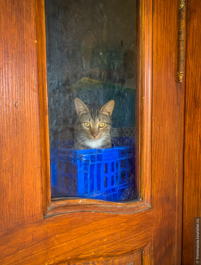 Испанско-Французское счастье в прекрасной Стране Басков