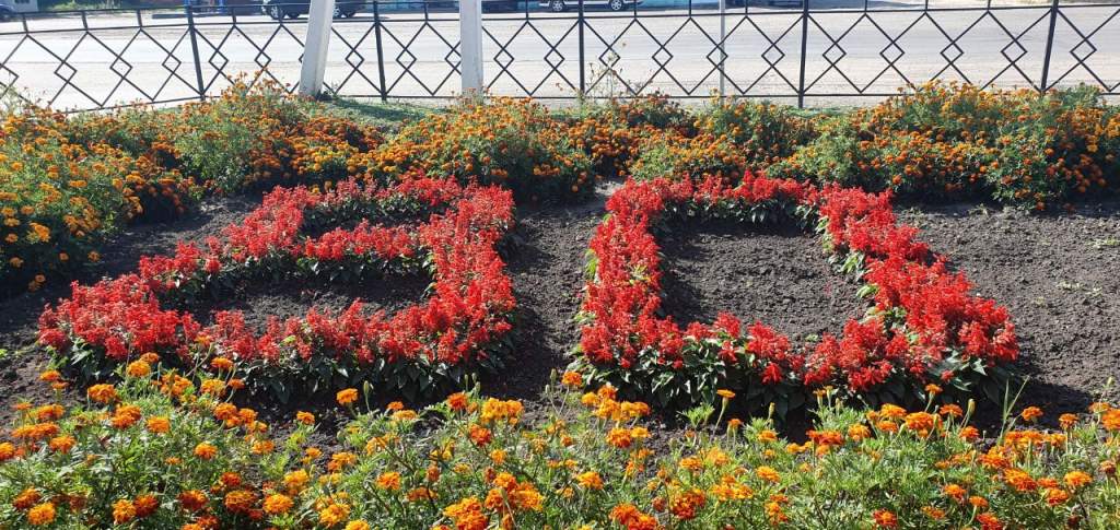 В Курской области у суда расцвела клумба, высаженная в честь 80-летия Курской битвы