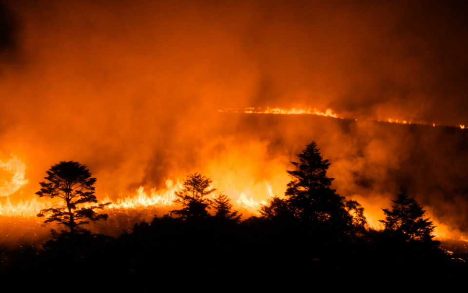 Искусственный интеллект против стихии: как нейросети спасают жизни