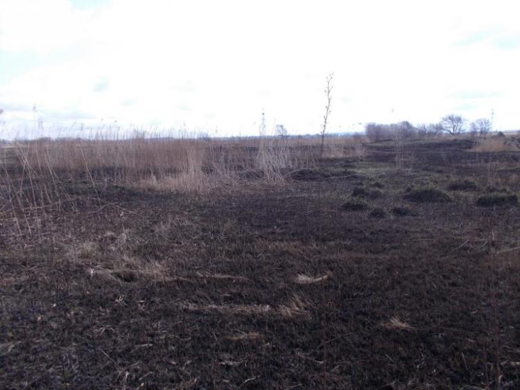 pozar-768x576.jpg