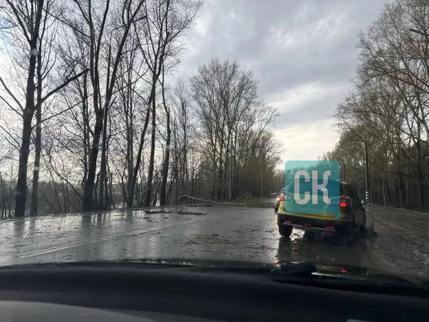 В Кирове из-за грозы падают деревья, окна и заборы. Фото