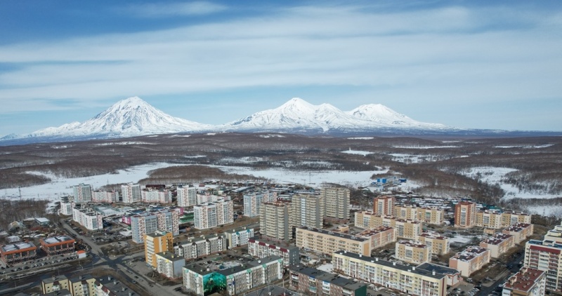Меры реагирования на появление медведей в городской черте