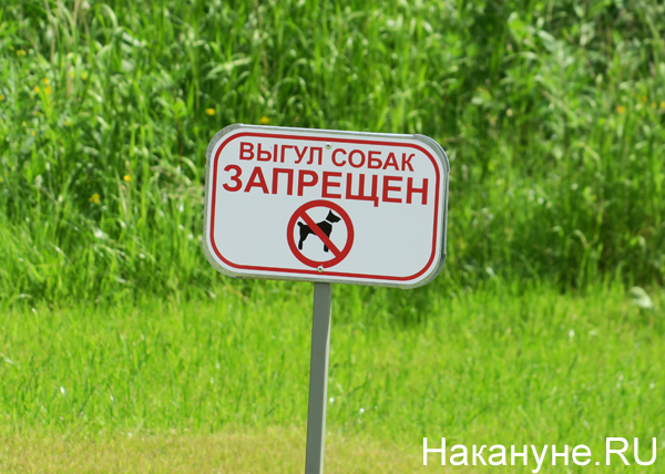 Фото: Накануне.RU