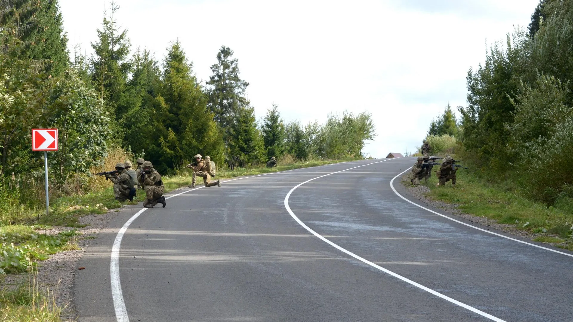 Синьковка харьковская. Военные учения в Карпатах.