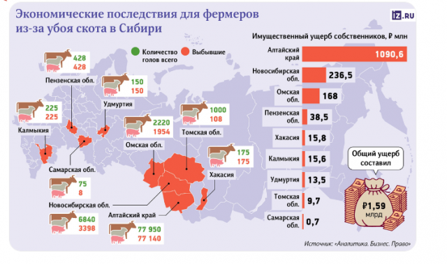 Радуйтесь! Ваши коровы здоровы... - фото 2